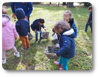 animation nature enfants
